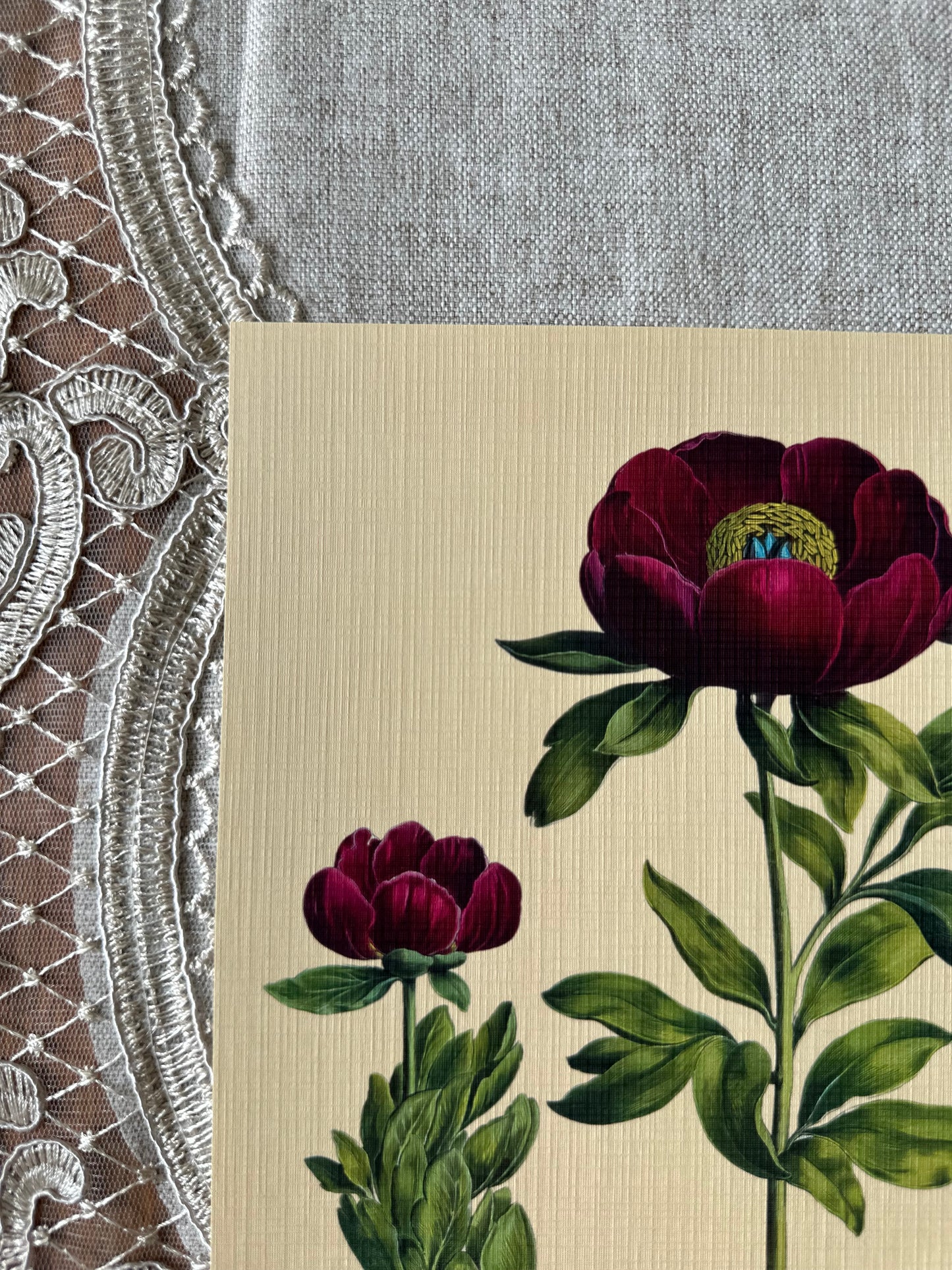 Peony Nat Rone Designs