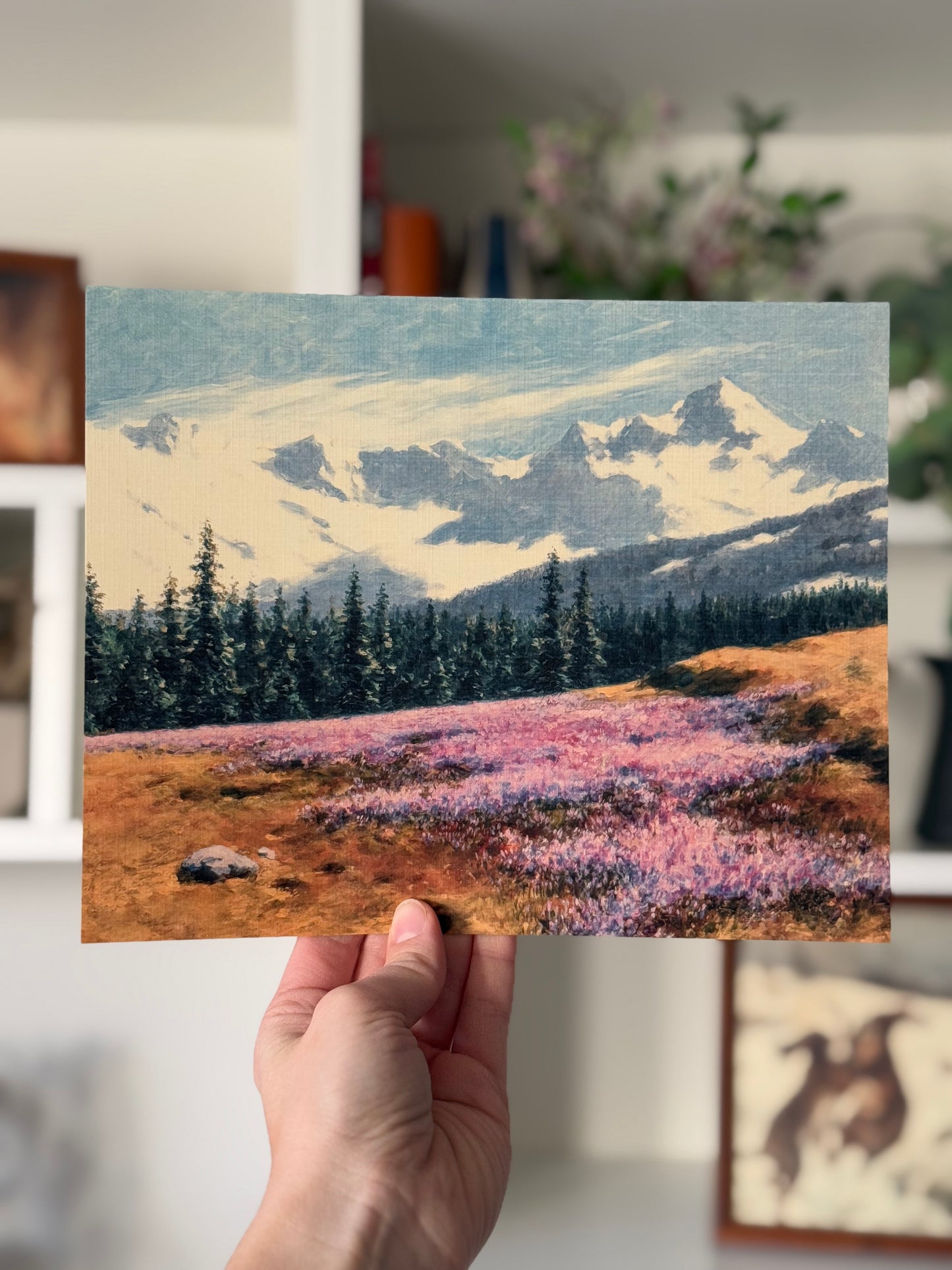 Snowy Mountains