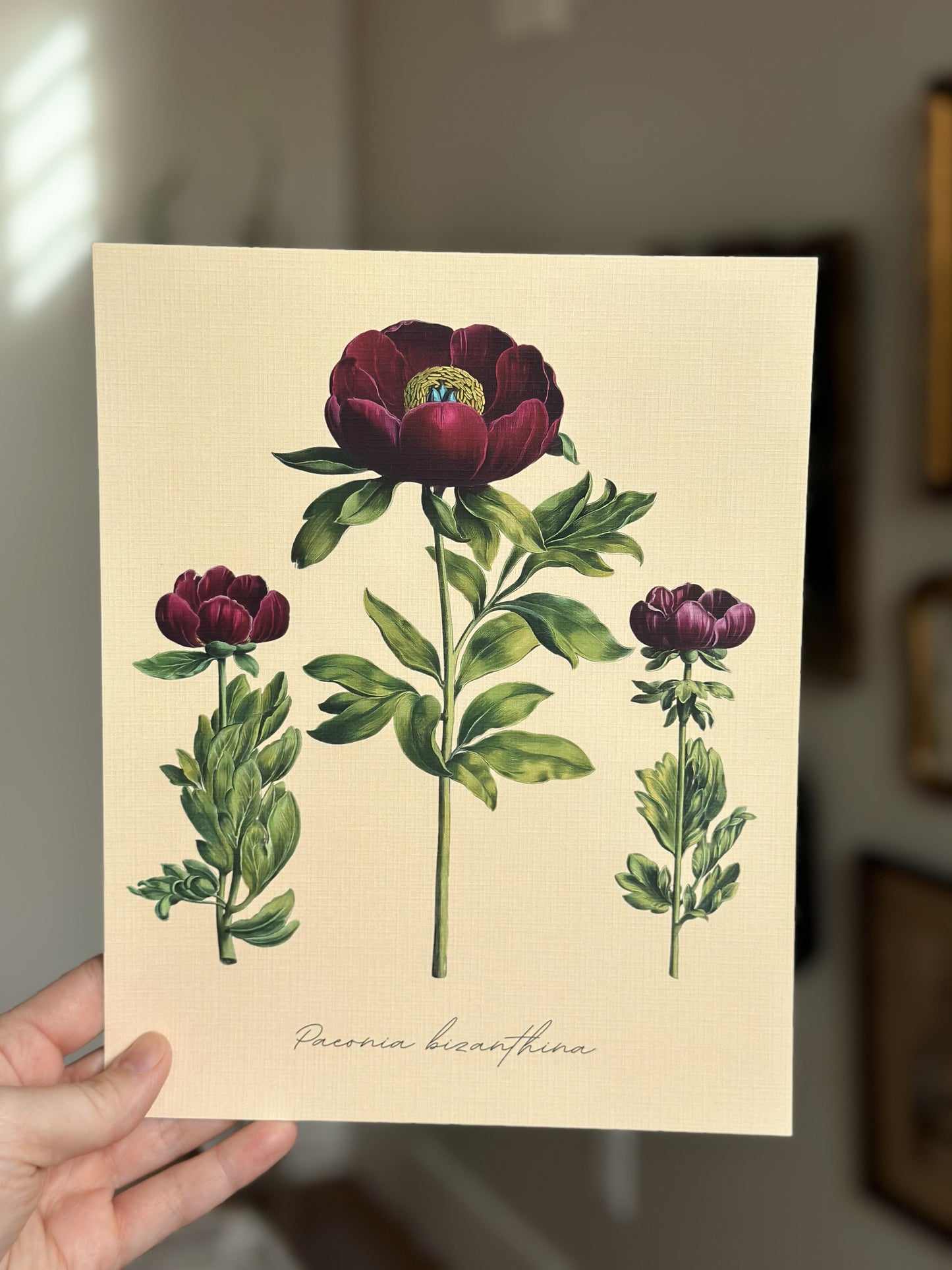 Peony Nat Rone Designs