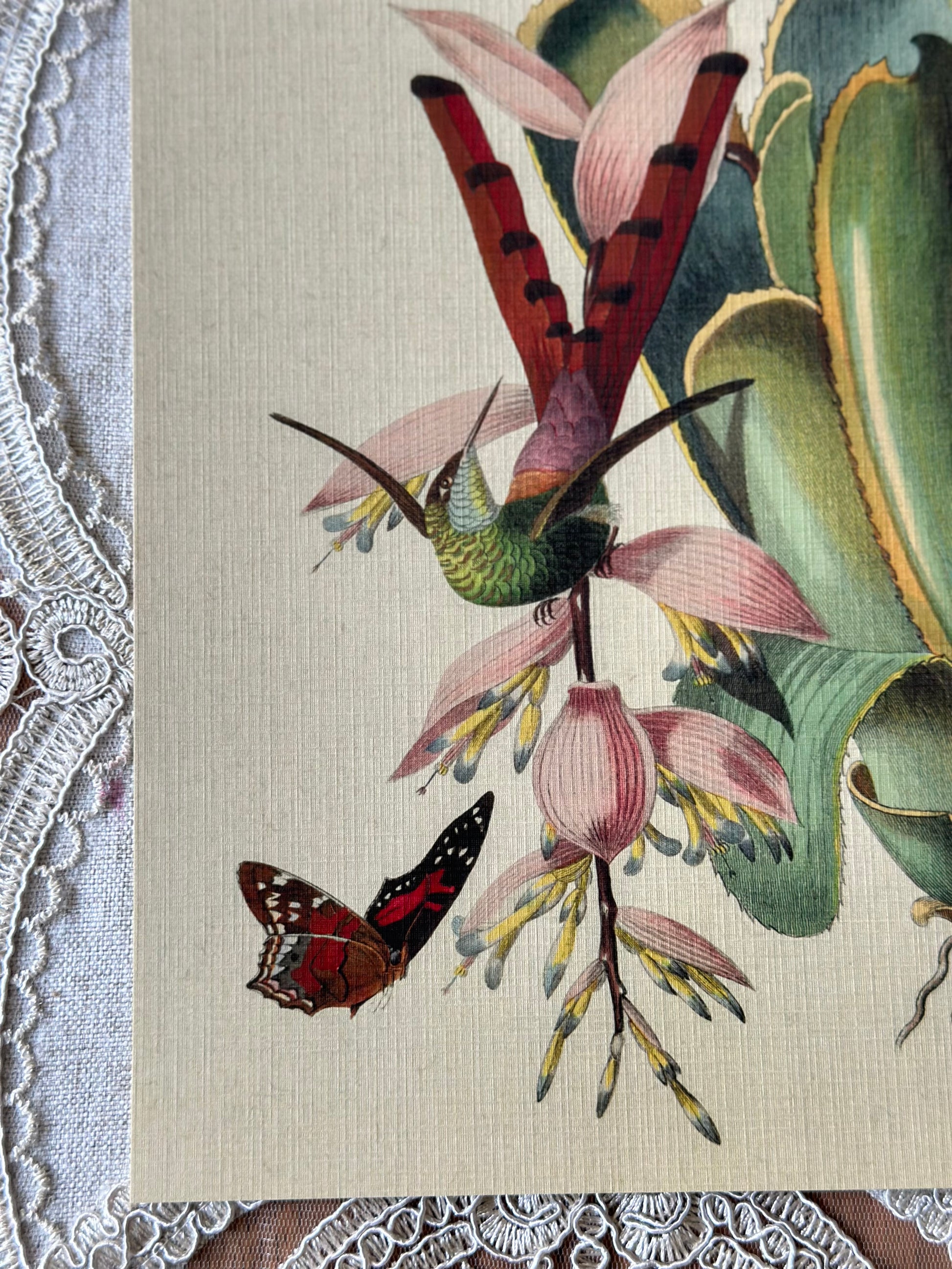 Hummingbird & Butterfly  Nat Rone Designs   