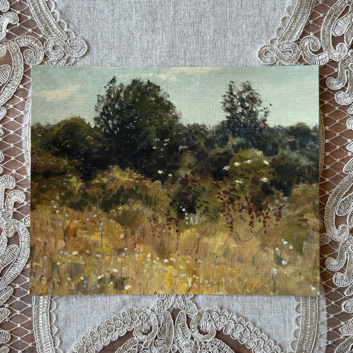 A Tranquil Meadow