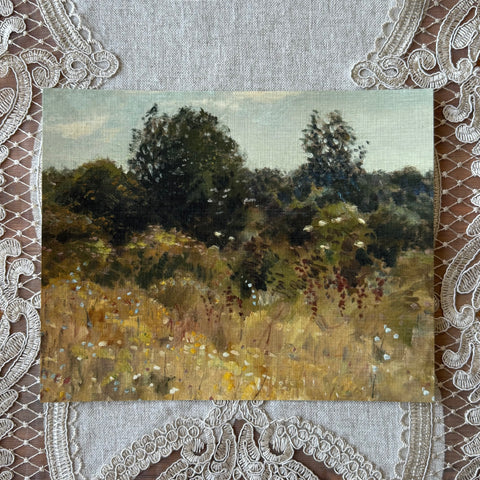 A Tranquil Meadow