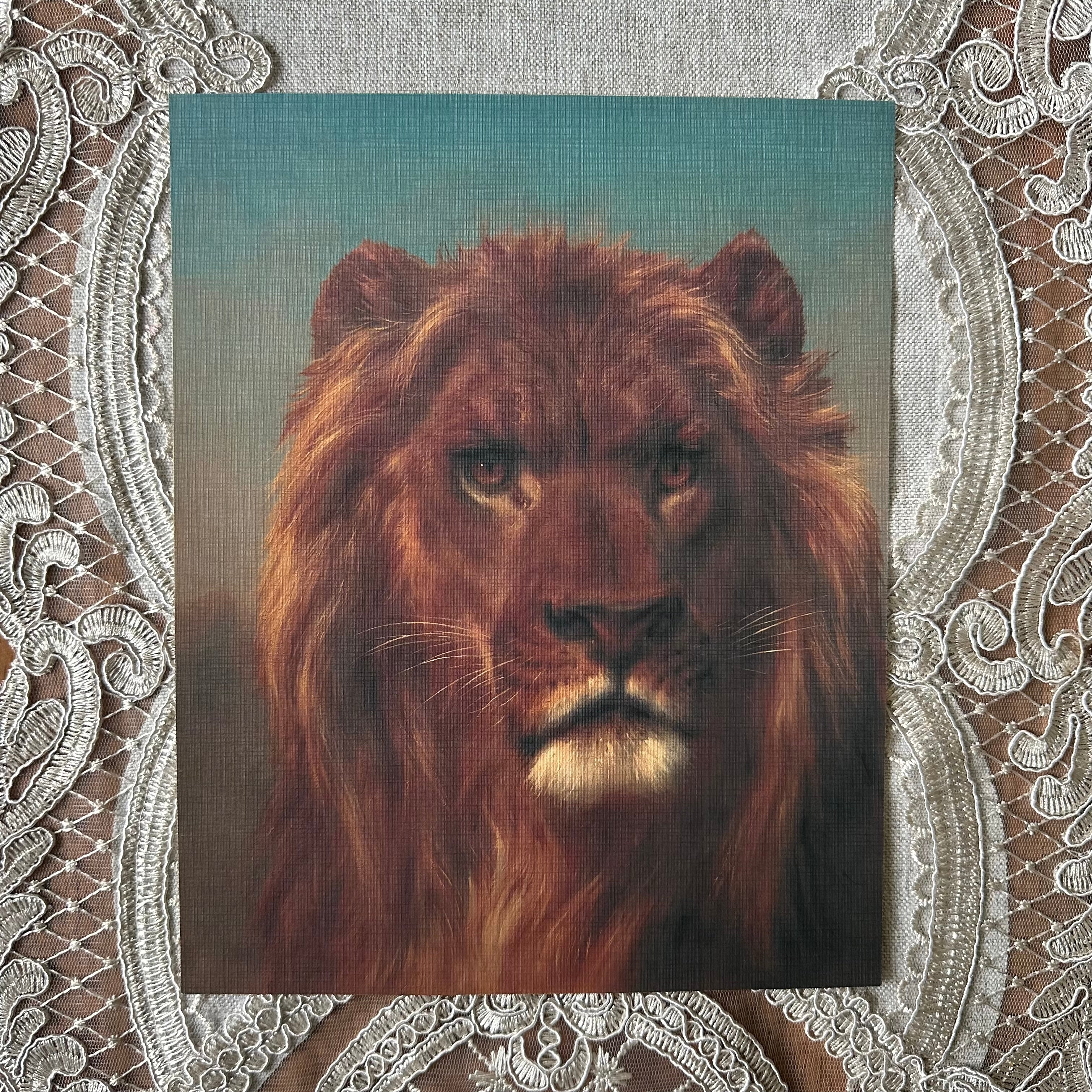 Lion Portrait