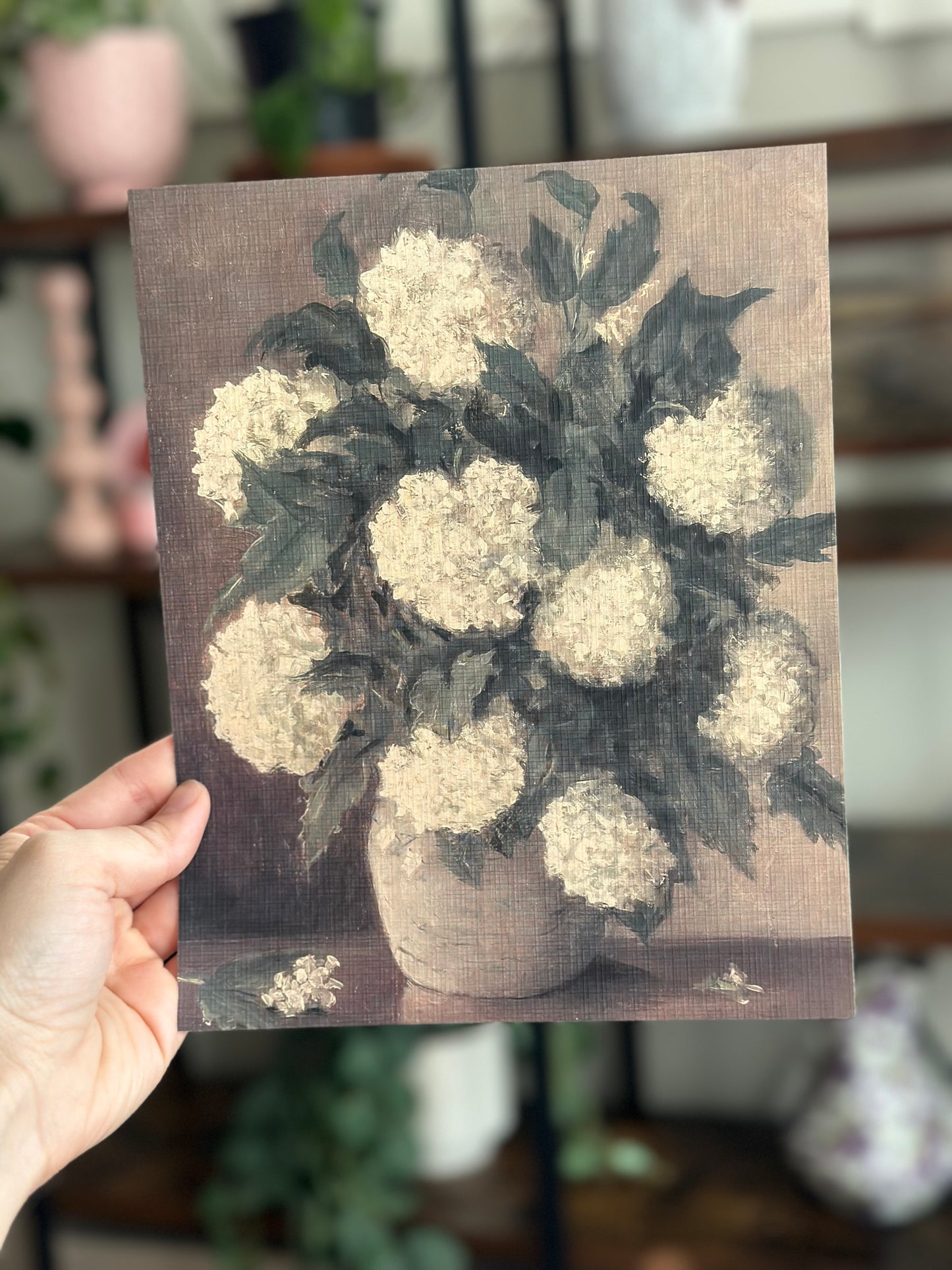 Hydrangeas In Vase