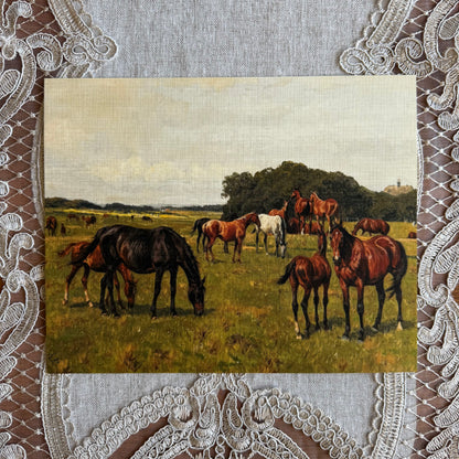 Horses in a Meadow