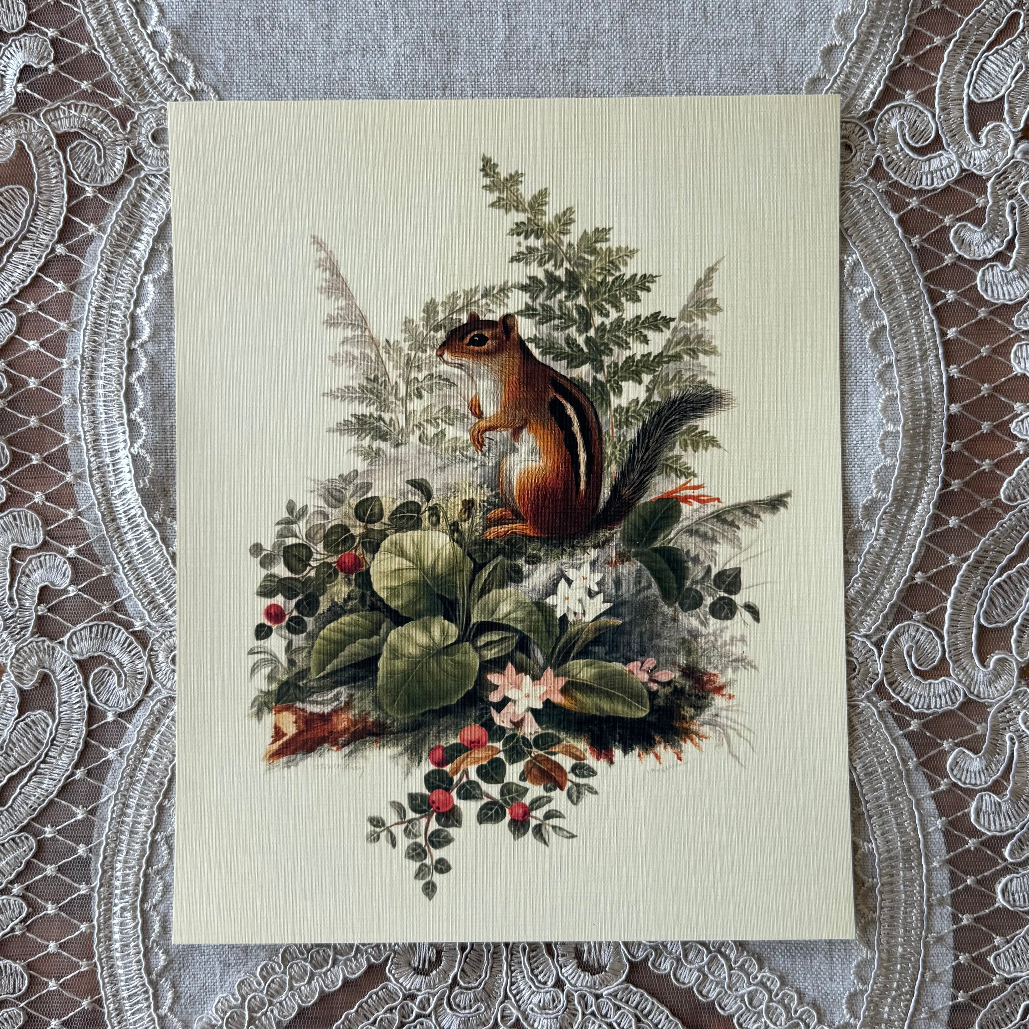 Chipmunk in Foliage