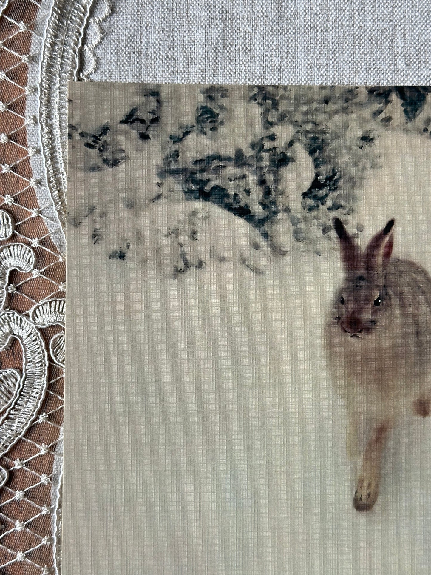 Hare in the Snow