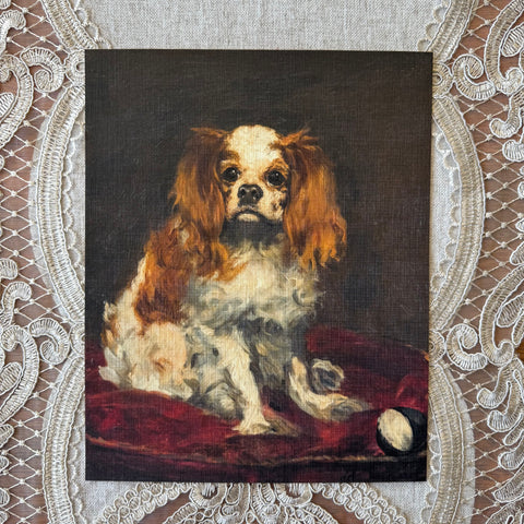 King Charles Spaniel