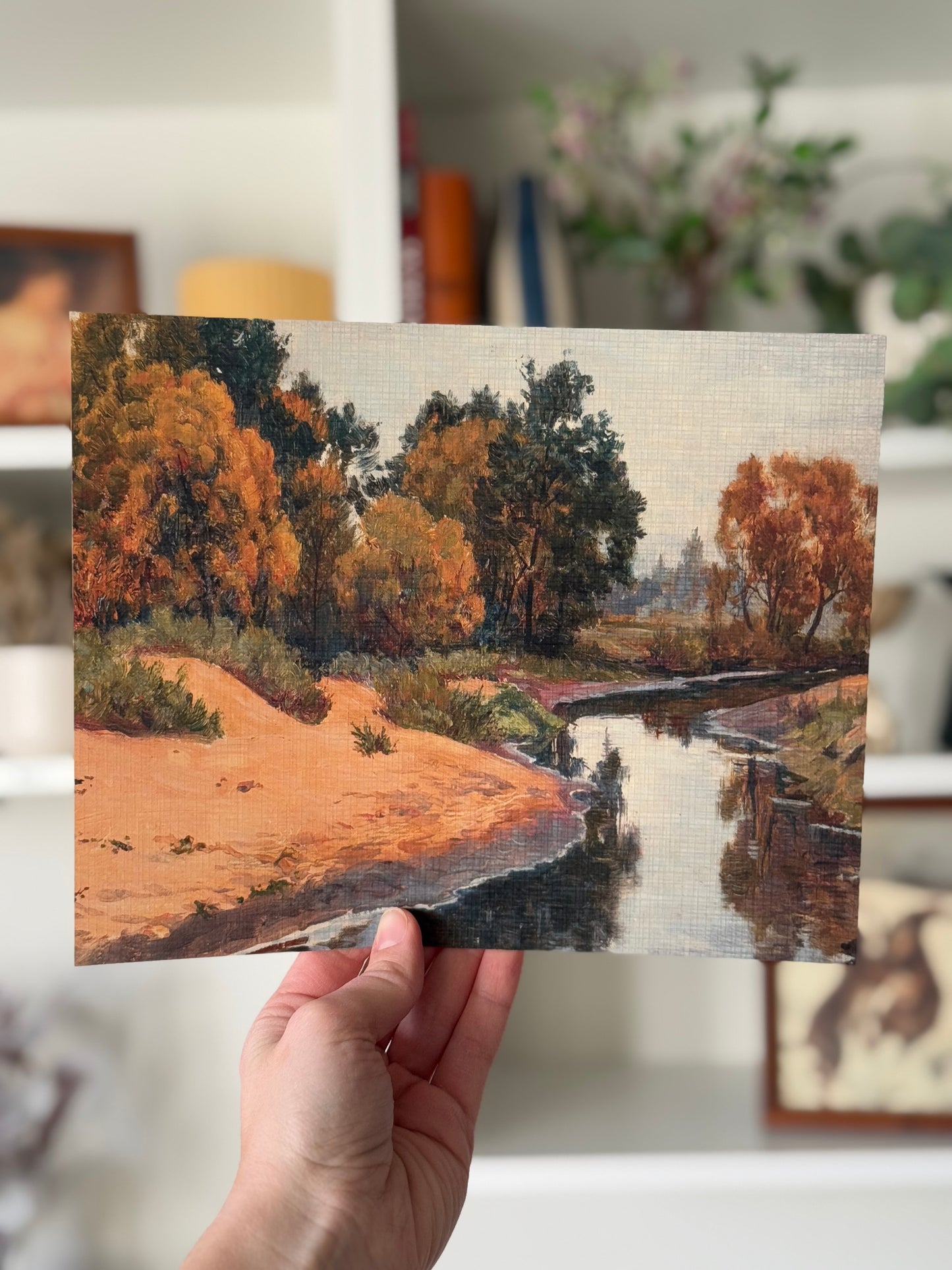 Trees and a River