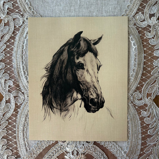 Horses Head Sketch