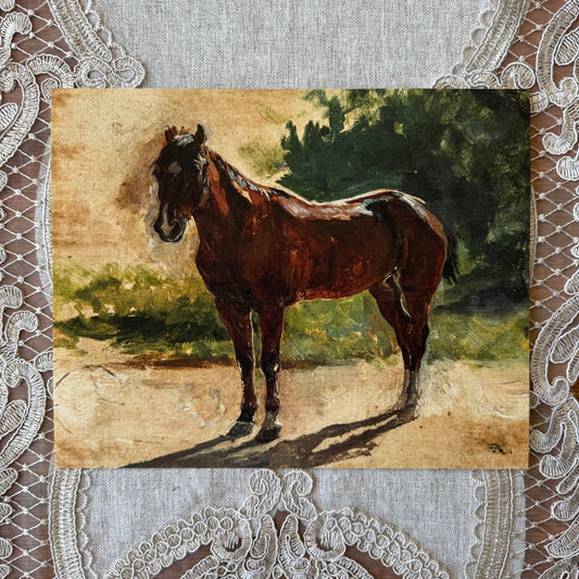 Brown Horse Study