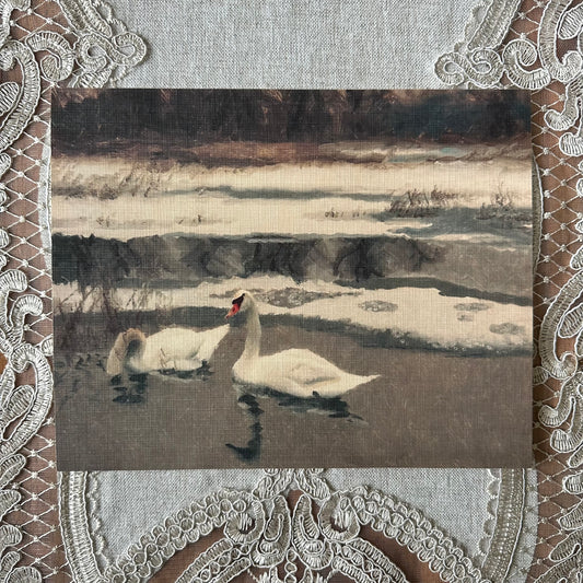 Swans in the Lake