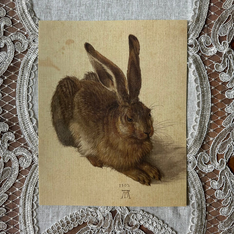 Young Hare