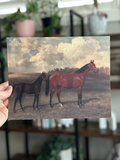 Horses in a Field