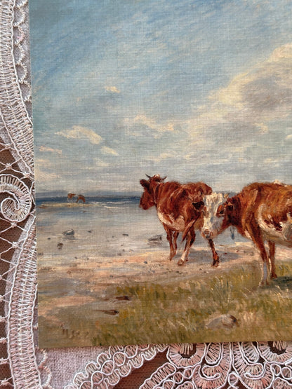 Cows on the Beach