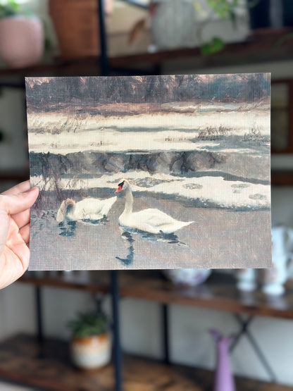 Swans in the Lake