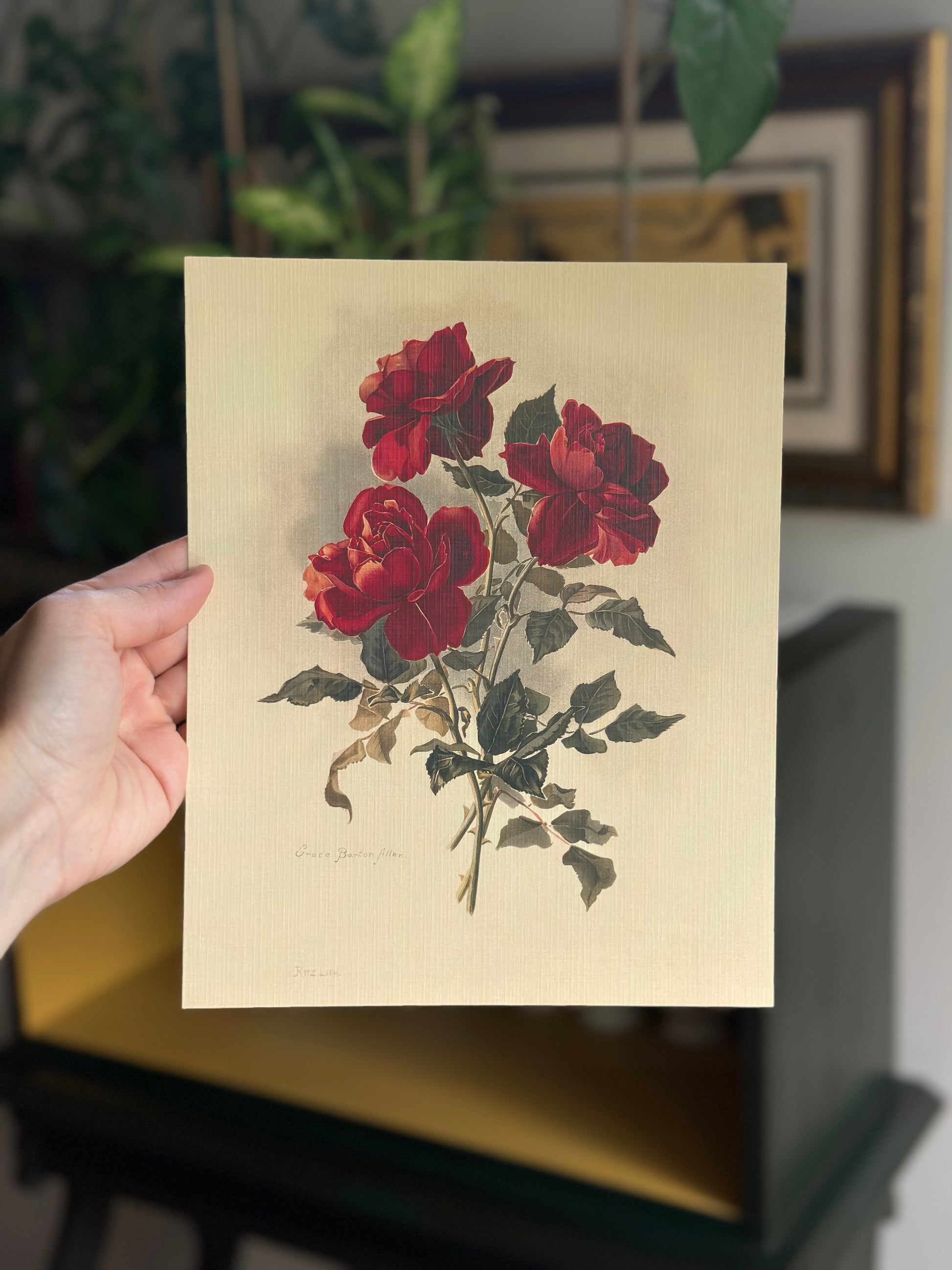 Three Red Roses  Nat Rone Designs   