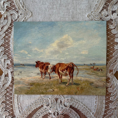 Cows on the Beach