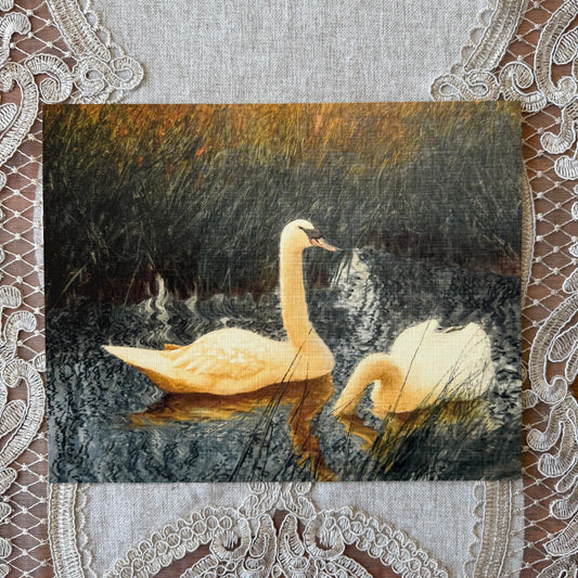 Swans in Reeds