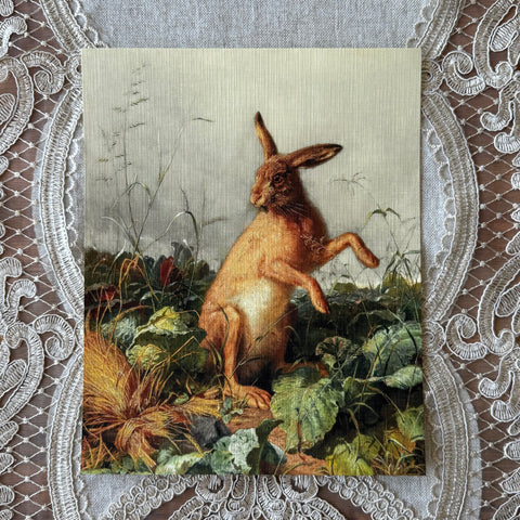 Brown Hare in Field