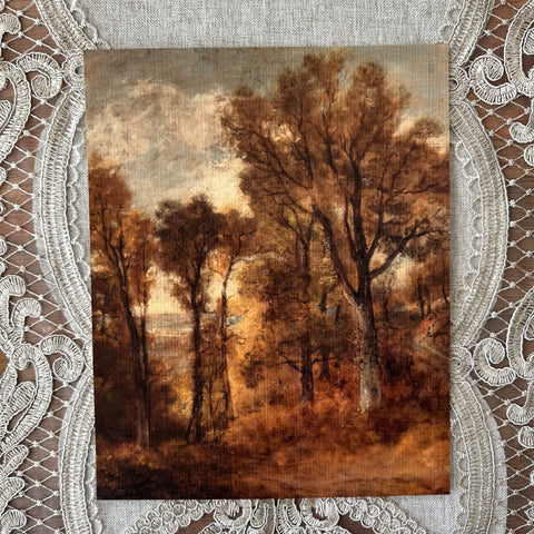 Woodland Scene