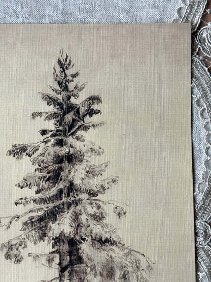 Christmas Tree Sketch