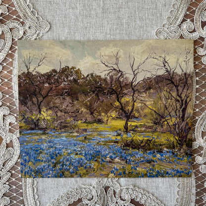 Bluebonnets & Mesquite