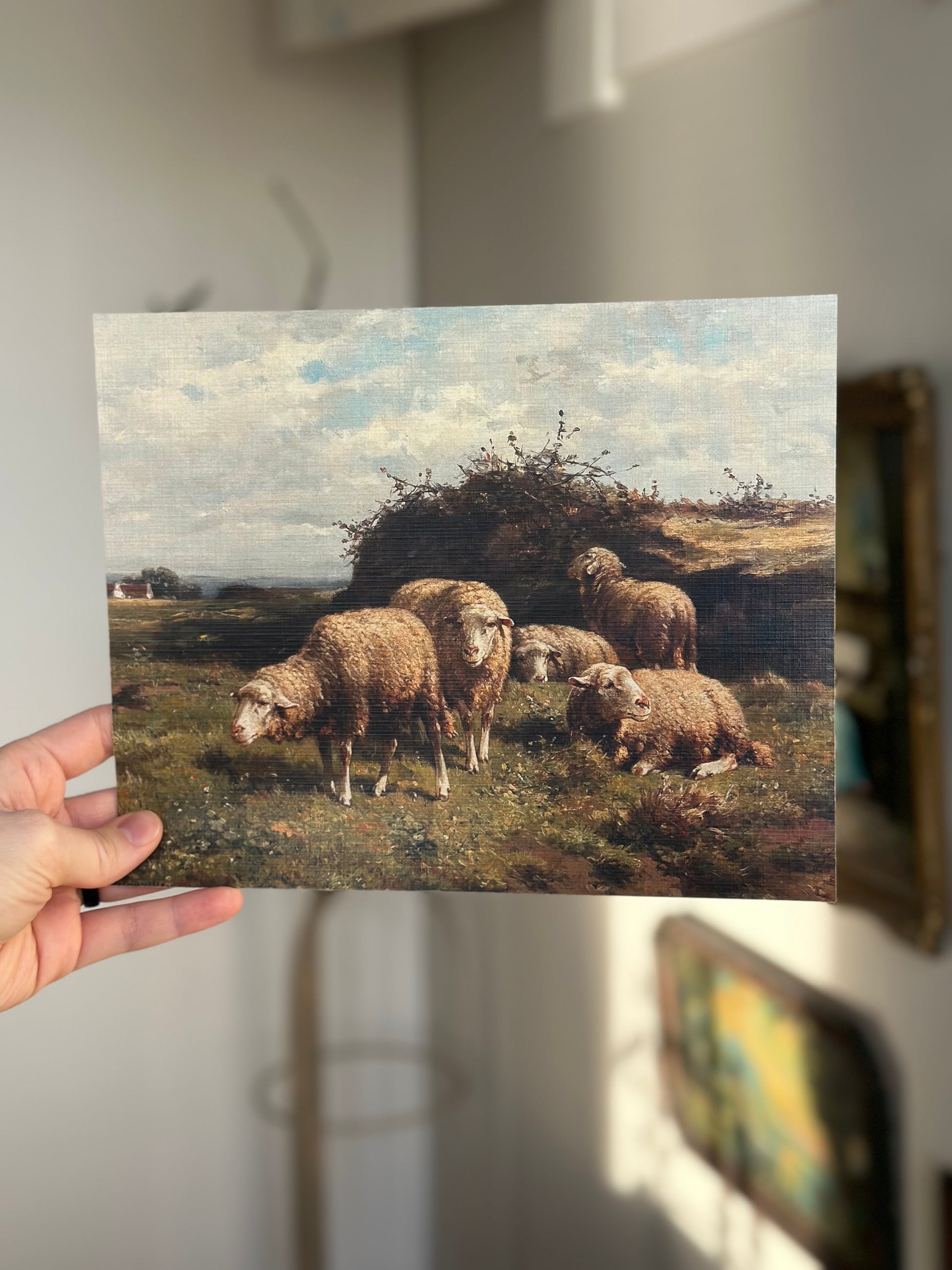 Sheep in a Meadow  Nat Rone Designs   