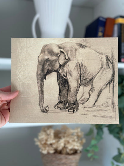 Elephant Study