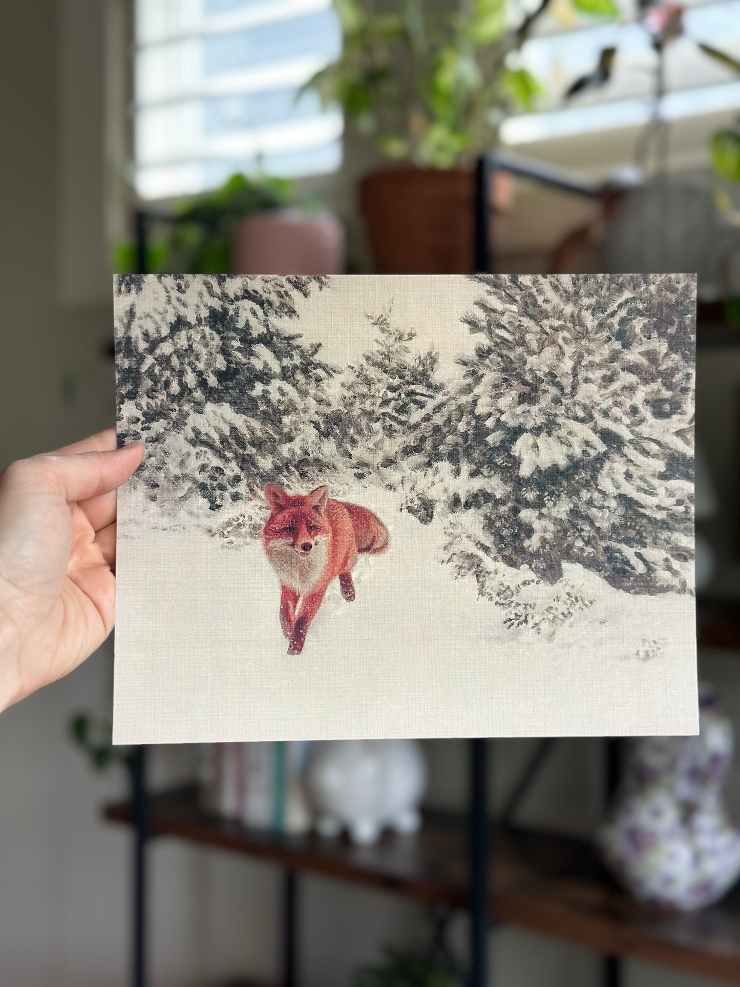 Fox in the Snow