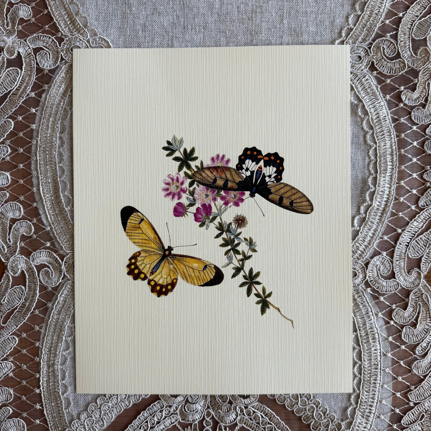 Butterflies & Botanicals 2