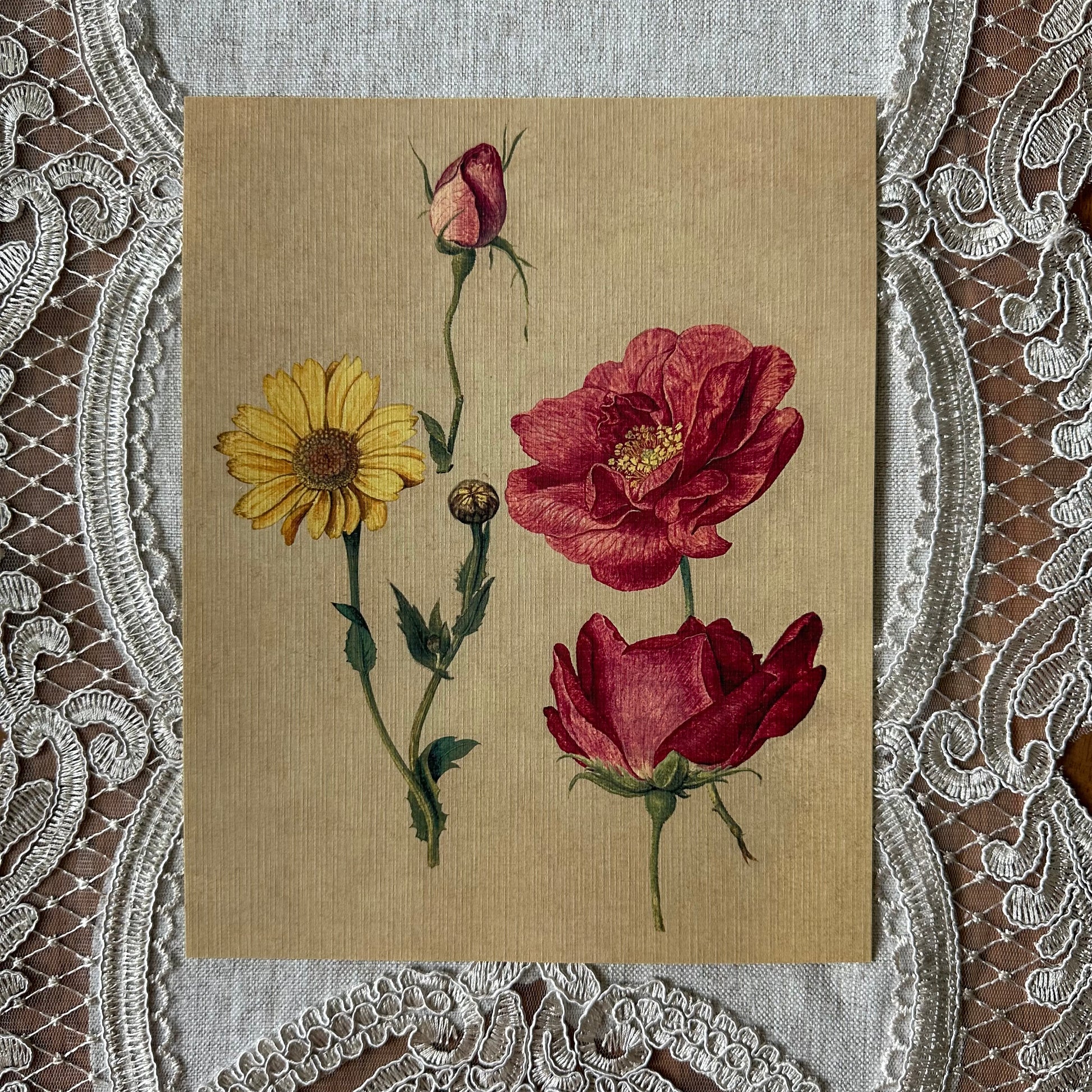 French Roses & Daisy  Nat Rone Designs   