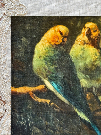 Vintage Parrots