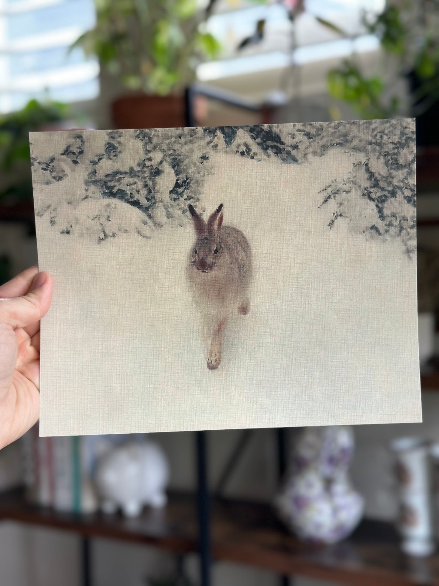 Hare in the Snow