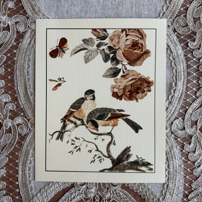 Birds & Botanicals