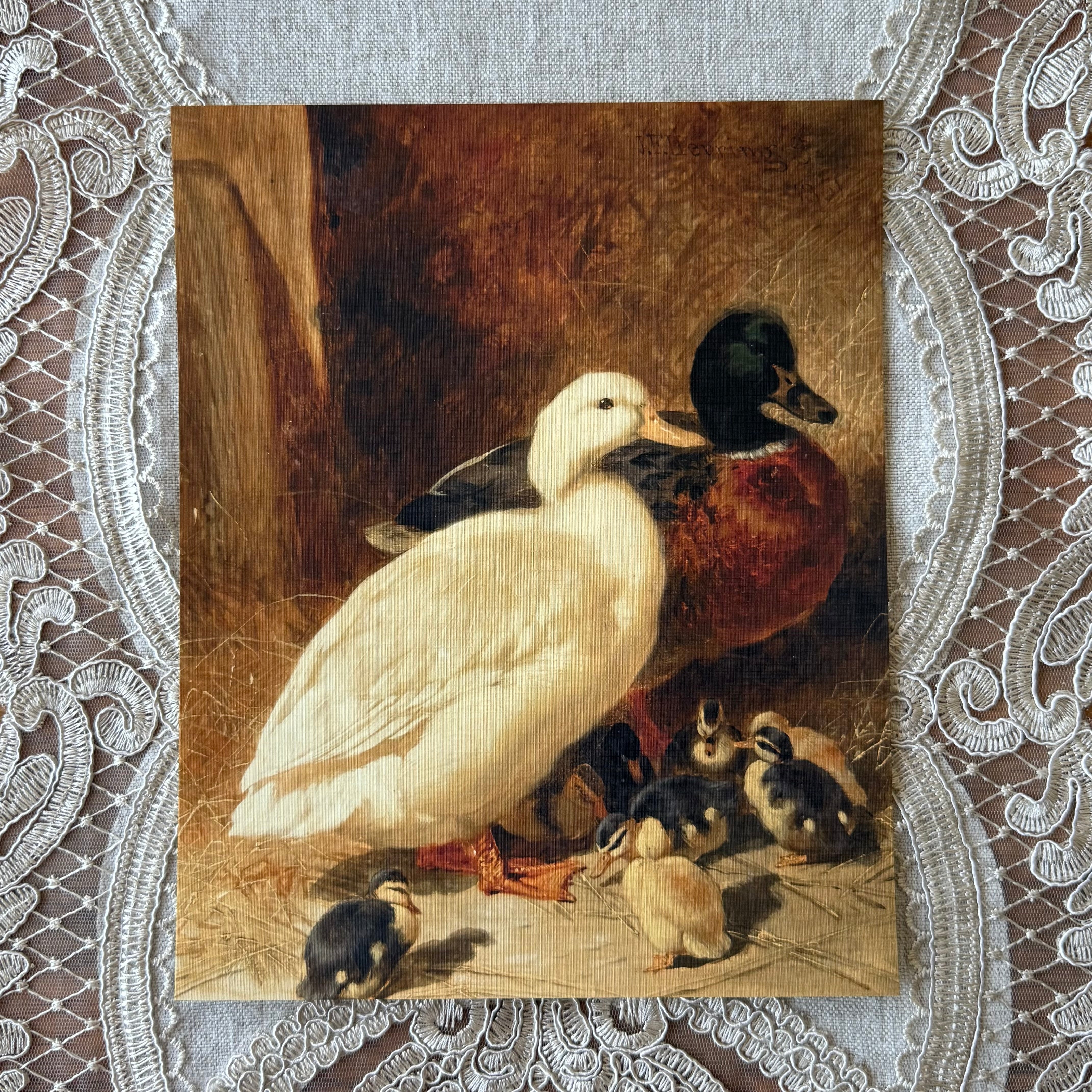 Ducks & Ducklings