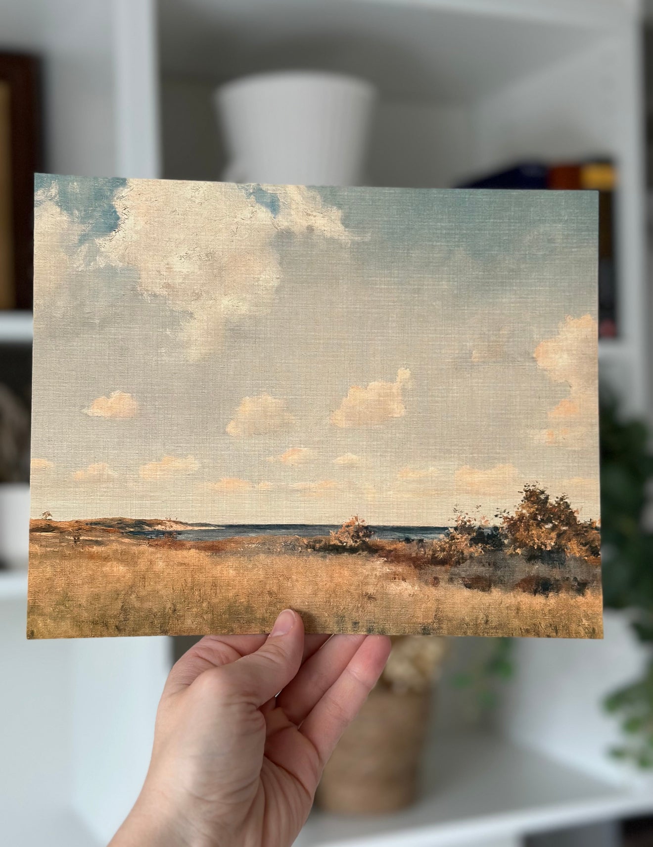 Landscapes Variety Set of 6