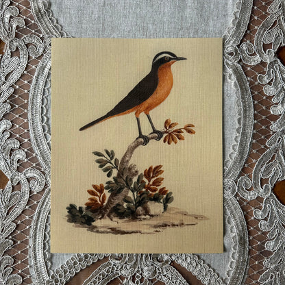 Robin Chat  Nat Rone Designs   