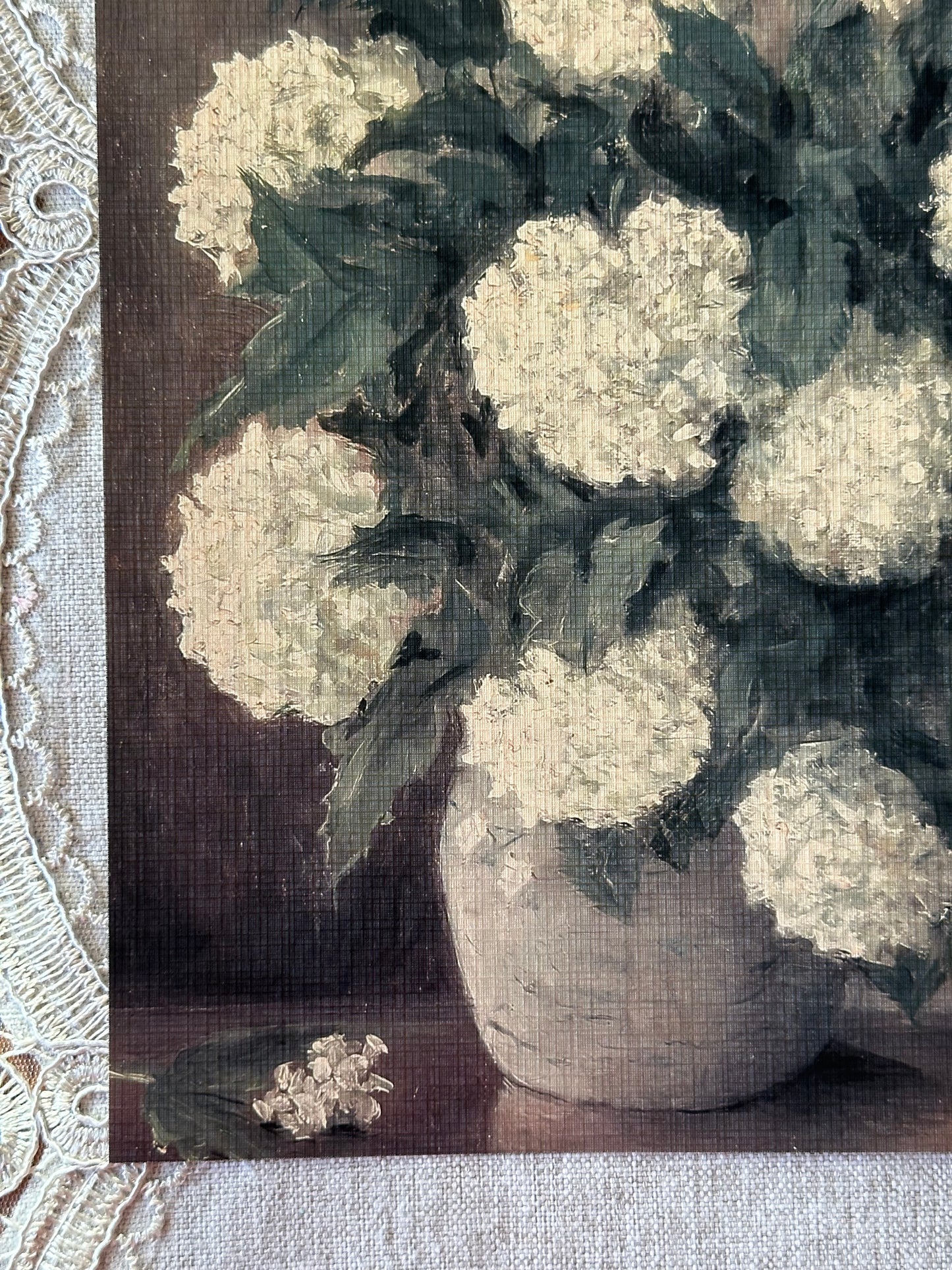 Hydrangeas In Vase