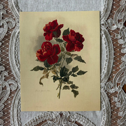 Three Red Roses  Nat Rone Designs   