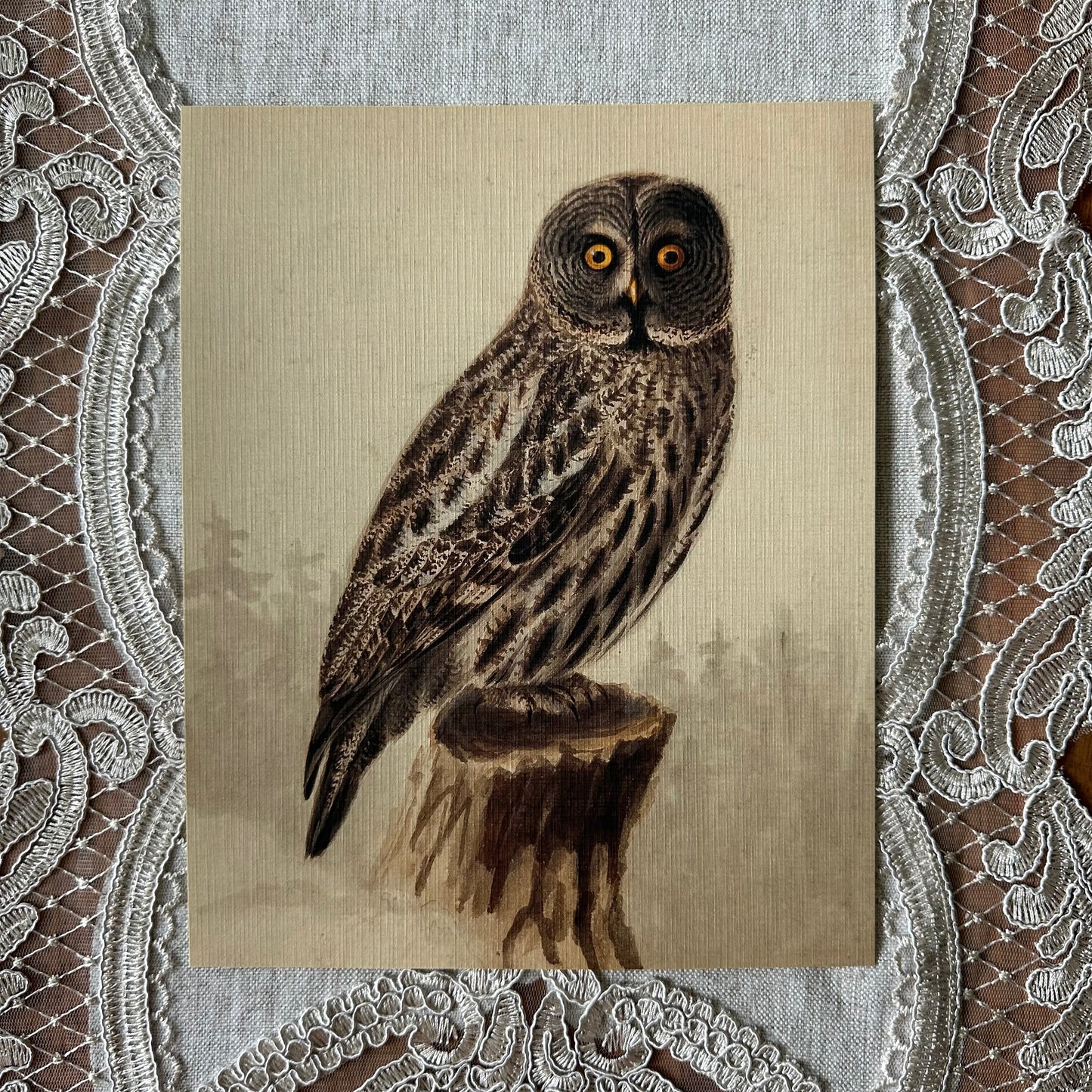 Great Grey Owl  Nat Rone Designs   