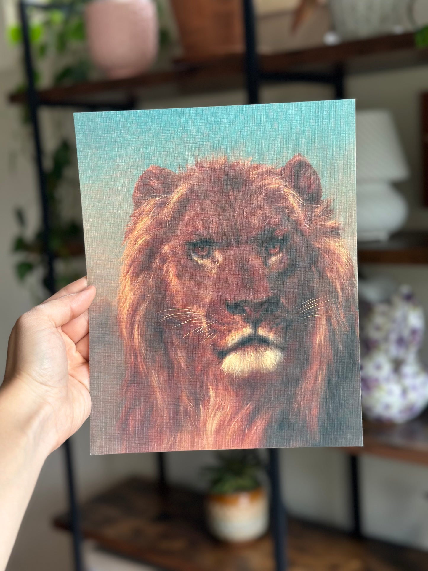 Lion Portrait