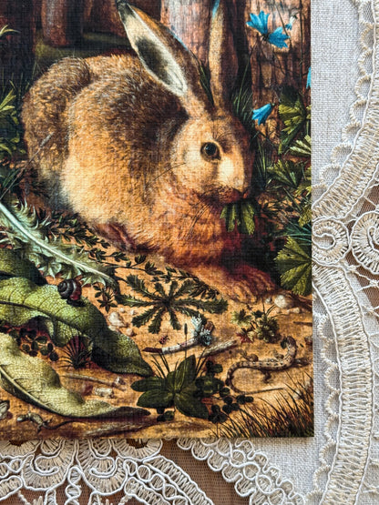 A Hare in the Forest