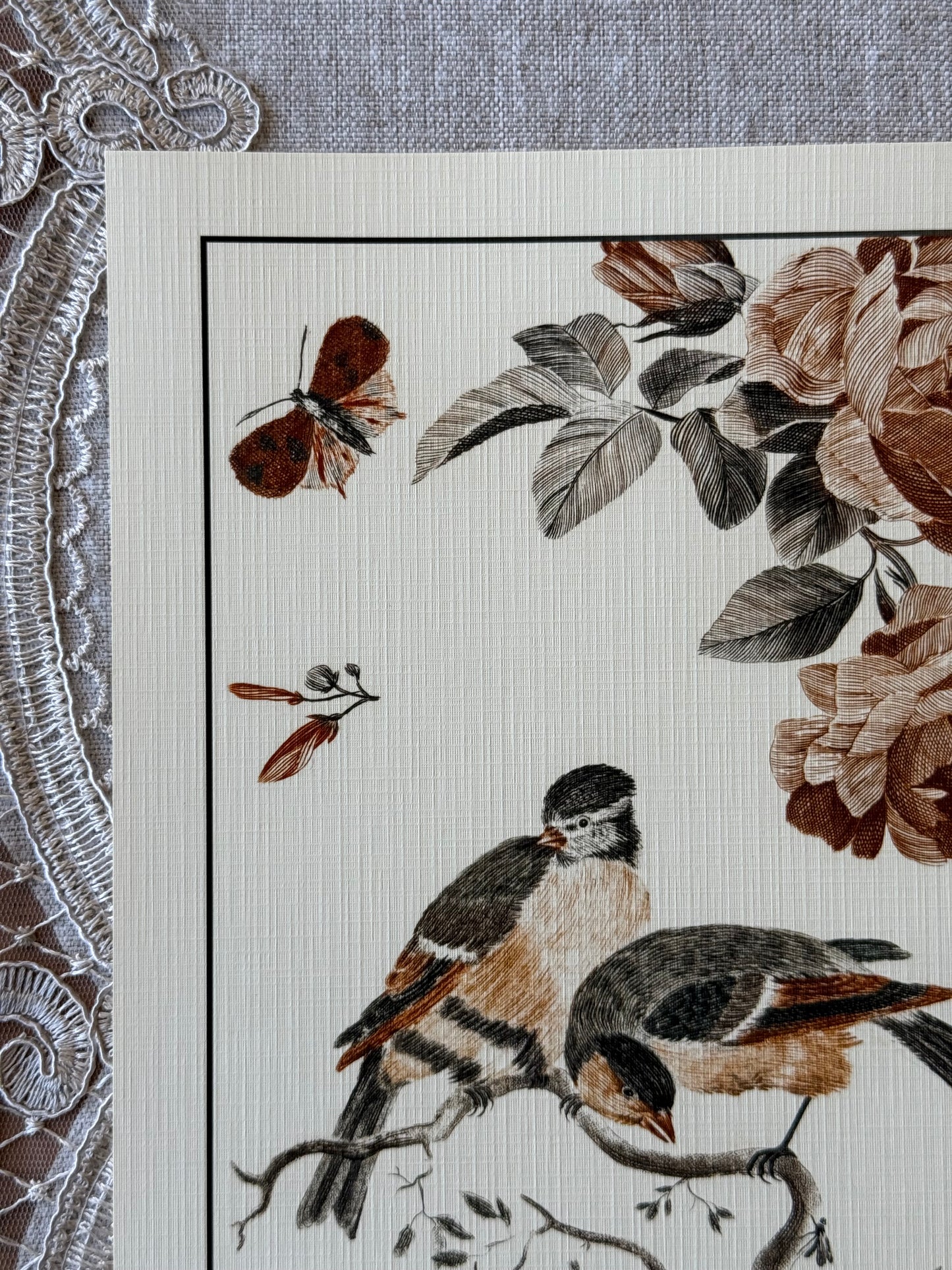 Birds & Botanicals