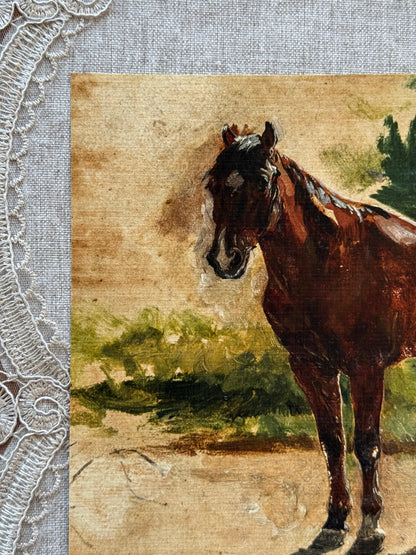 Brown Horse Study