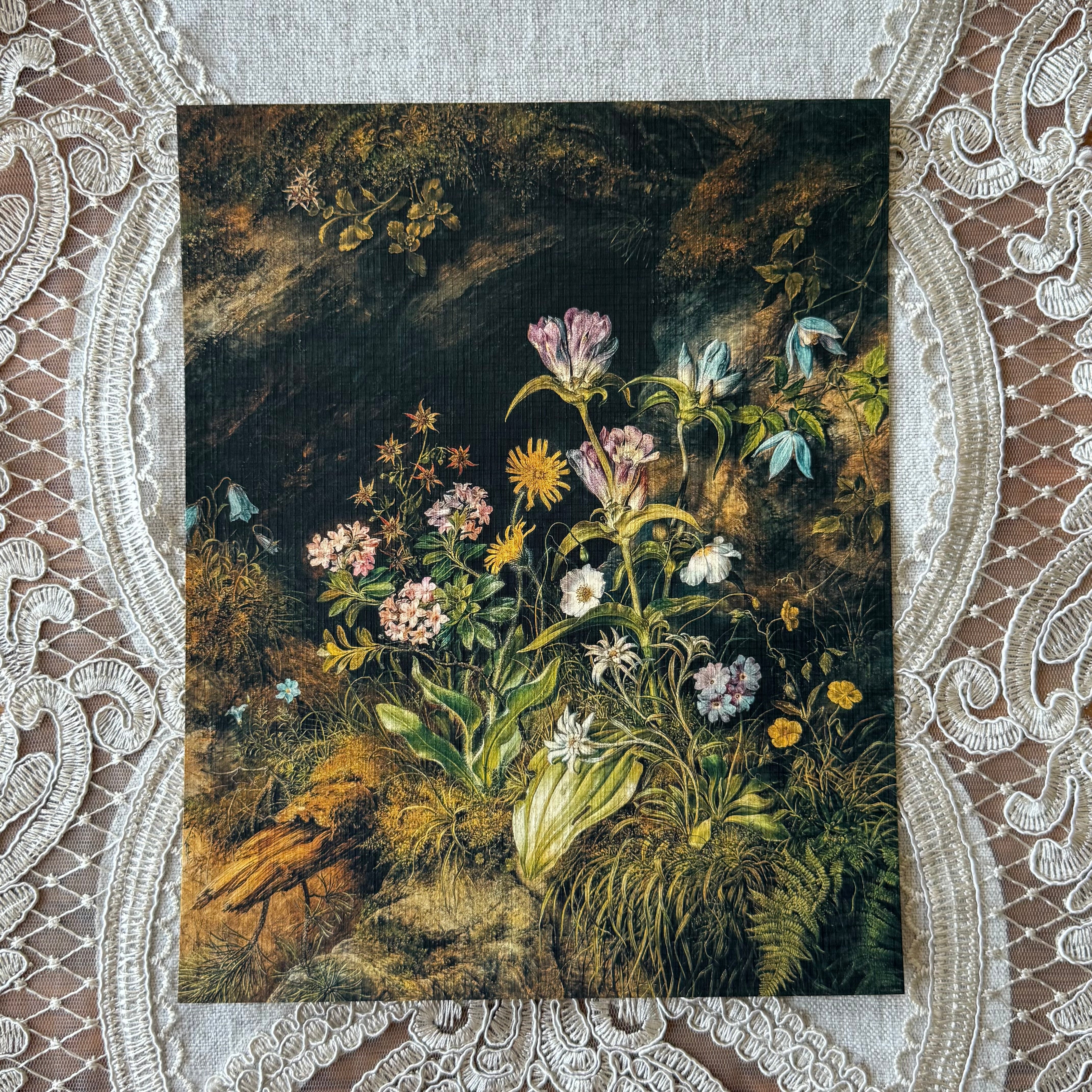 Alpine Wildflowers