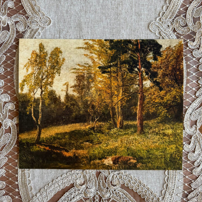 Forest Landscape