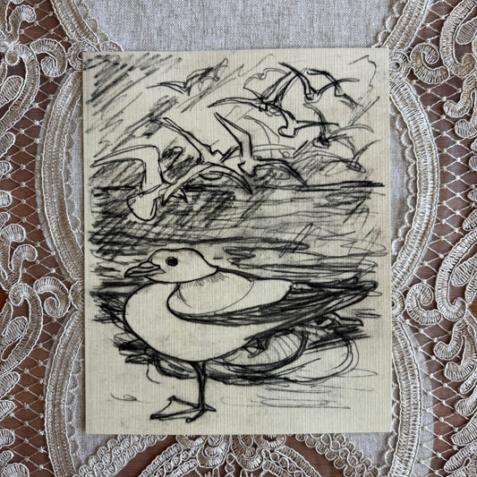 Seagull Sketch