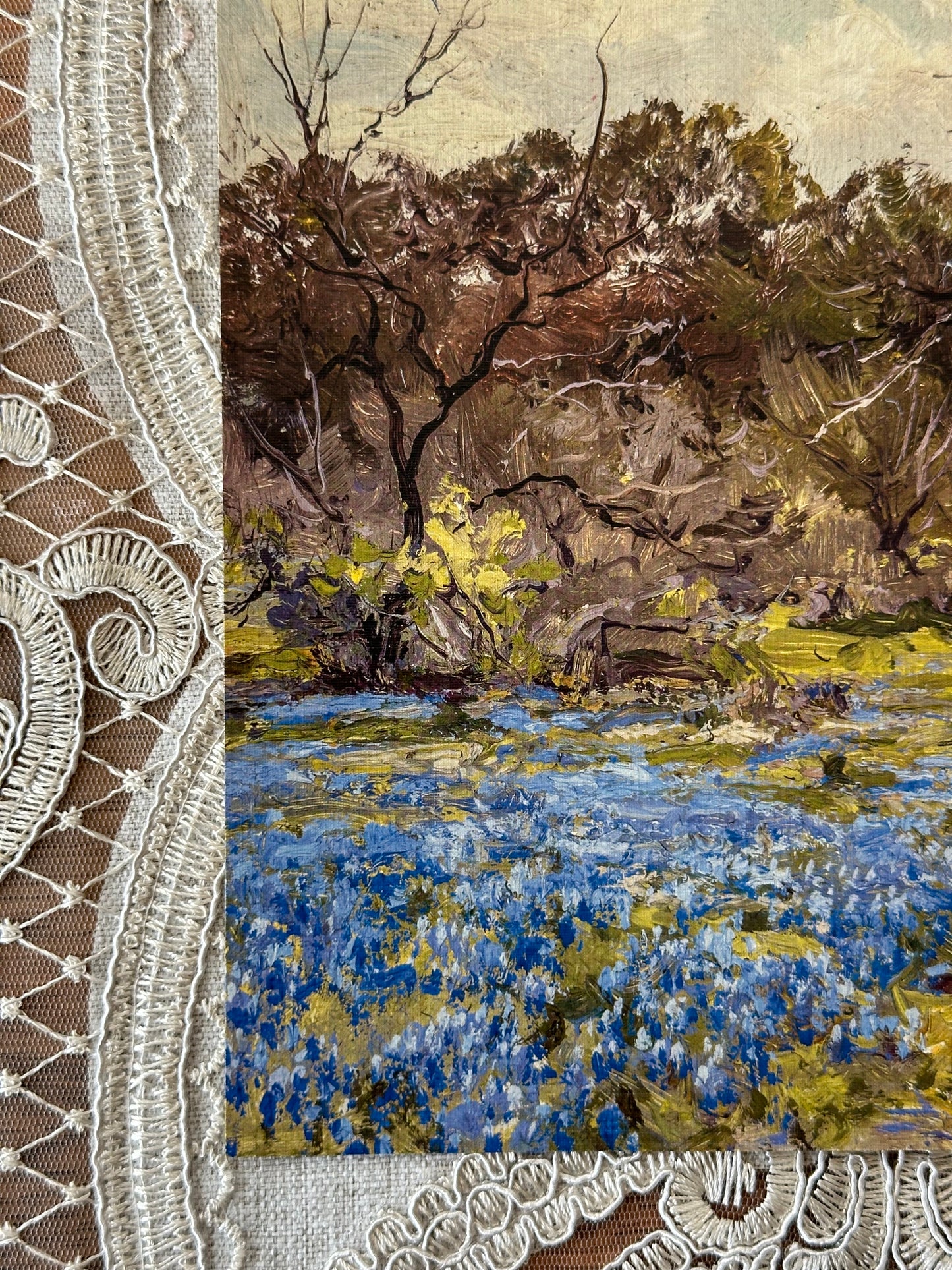 Bluebonnets & Mesquite