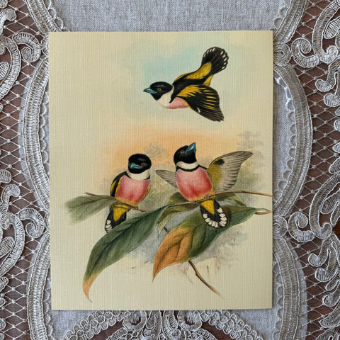 Three Birds on a Branch